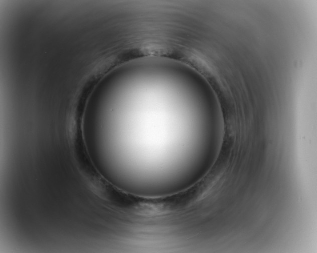 X0000088920690200706081359
