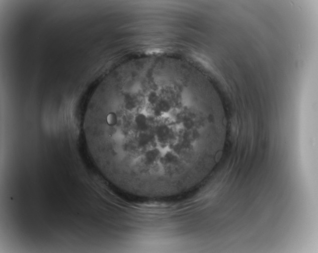 X0000088920691200706081359