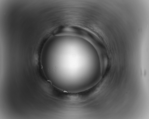 X0000088920693200706081359