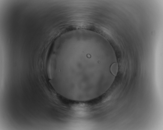 X0000088920695200706081359