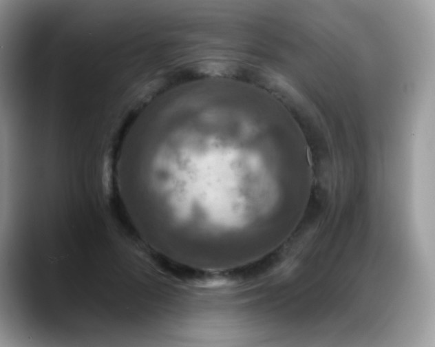 X0000088920696200706081359