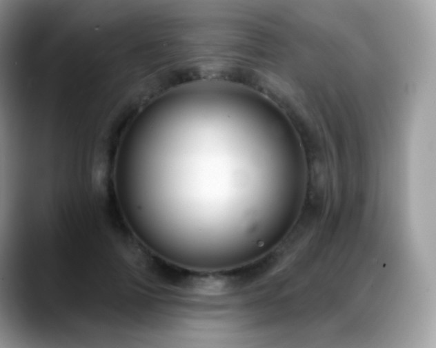 X0000088920698200706081359