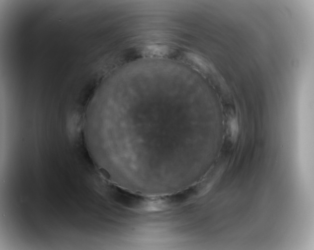 X0000088920701200706081359