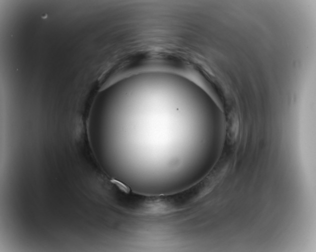 X0000088920704200706081359