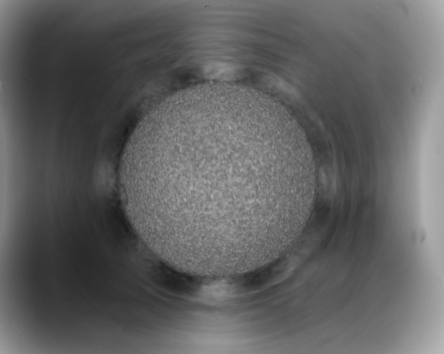 X0000088920705200706081359