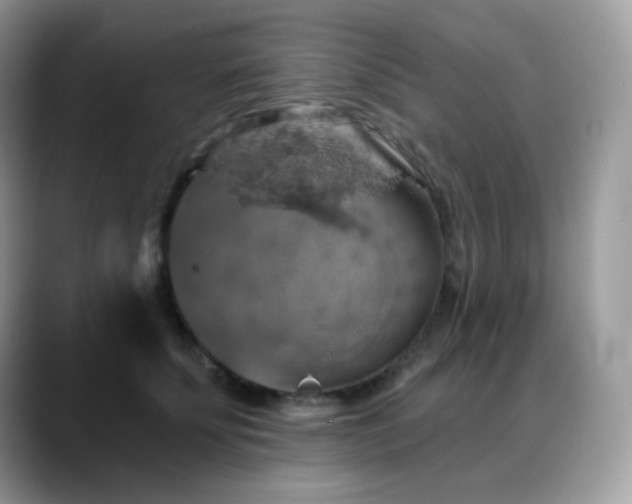 X0000088920707200706081359