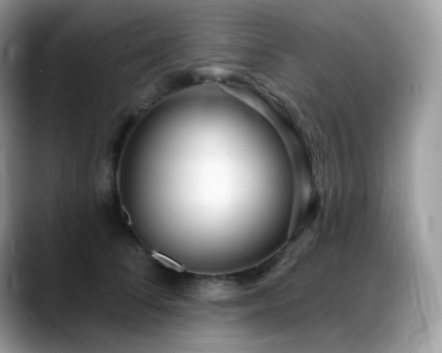 X0000088920708200706081359