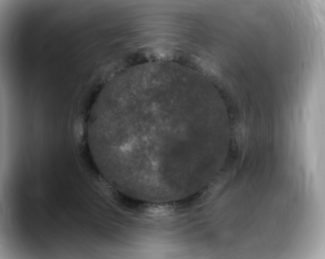 X0000088920709200706081359