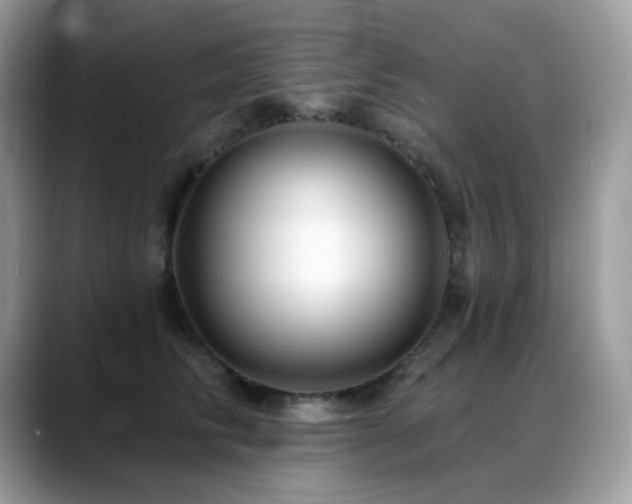 X0000088920710200706081359