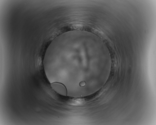 X0000088920711200706081359