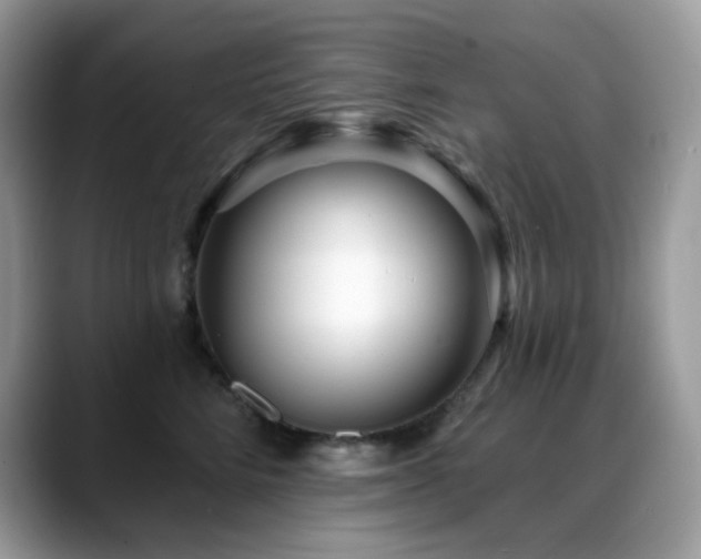 X0000088920712200706081359