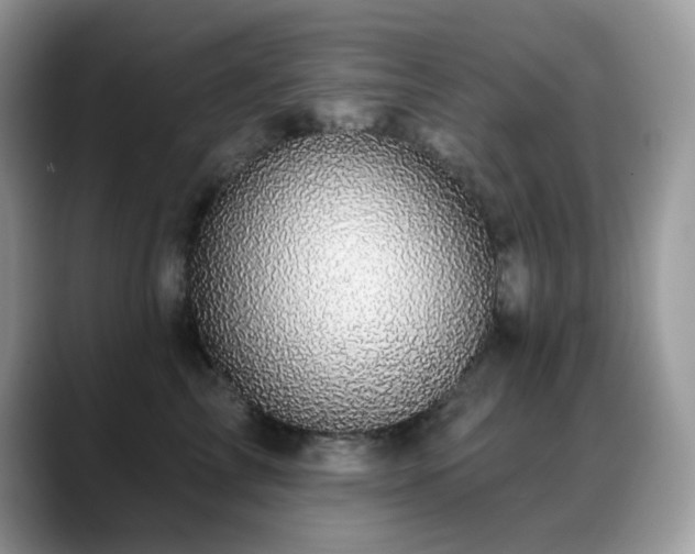 X0000088920713200706081359