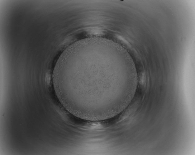 X0000088920715200706081359