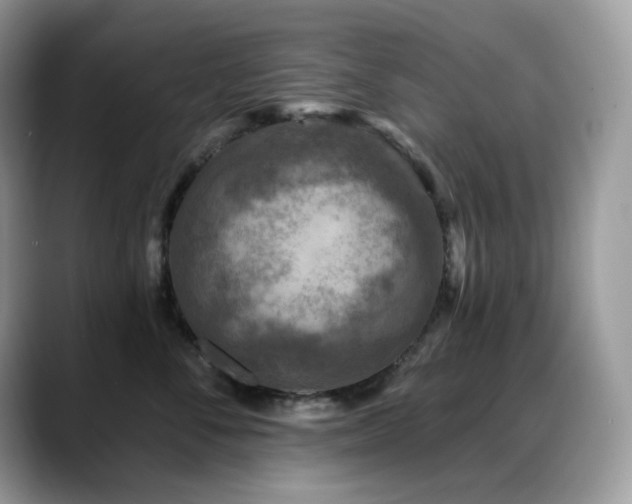 X0000088920716200706081359