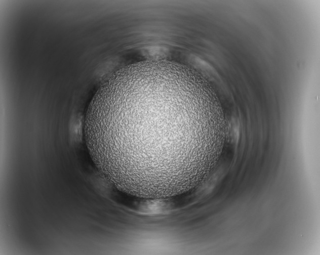 X0000088920717200706081359