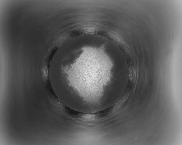 X0000088920718200706081359