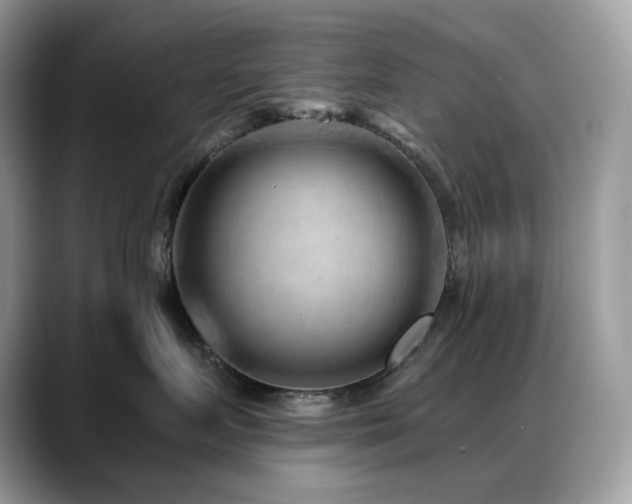 X0000088920719200706081359