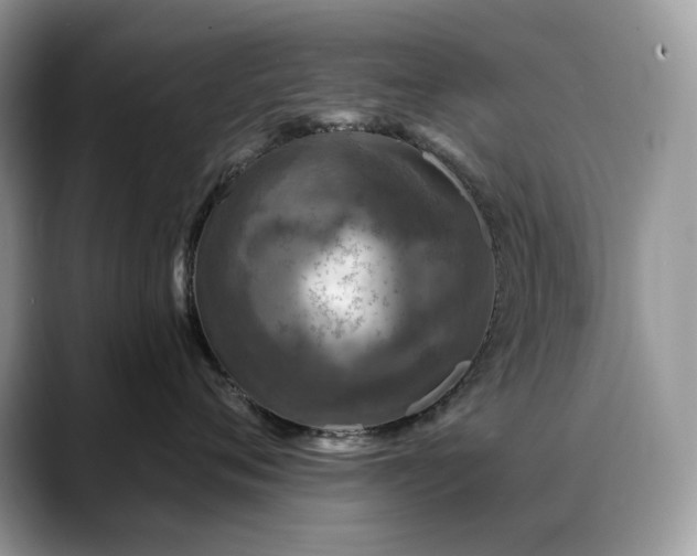 X0000088920720200706081359