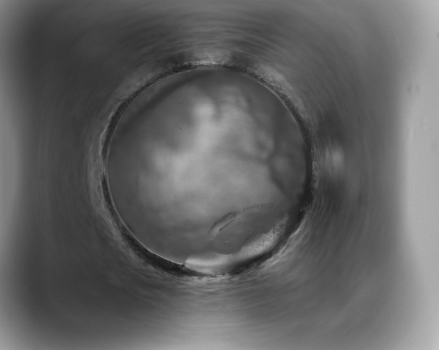 X0000088920721200706081359