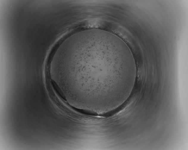 X0000088920722200706081359