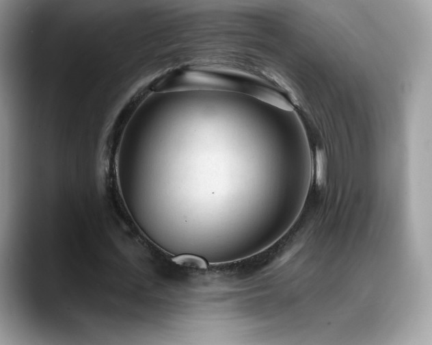 X0000088920723200706081359