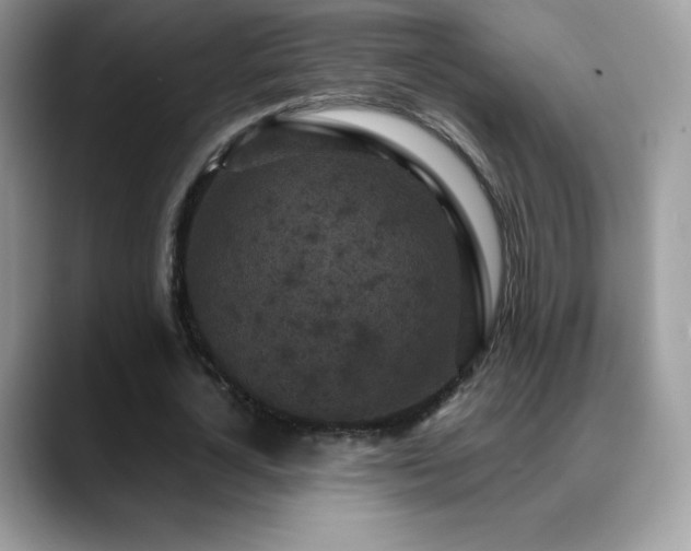 X0000088920724200706081359