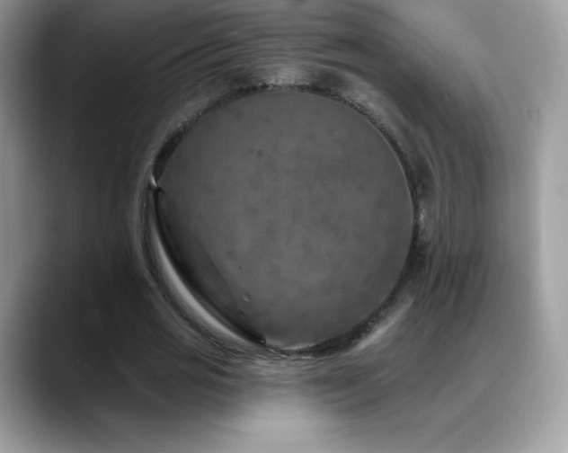 X0000088920725200706081359