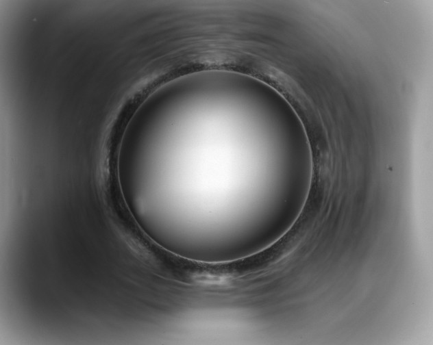 X0000088920727200706081359