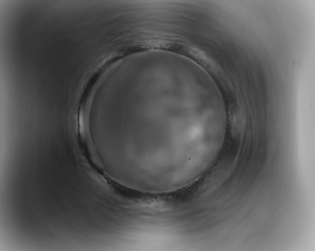 X0000088920729200706081359