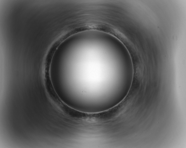 X0000088920730200706081359