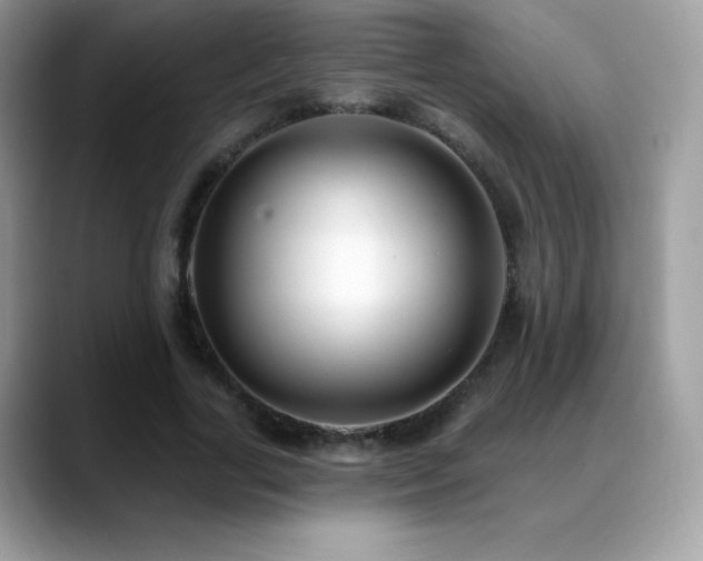 X0000088920731200706081359