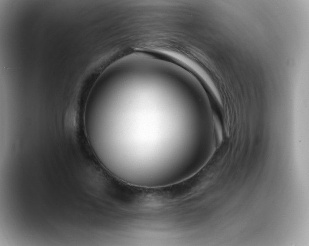 X0000088920732200706081359