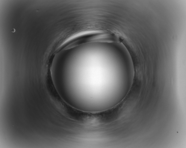 X0000088920735200706081359