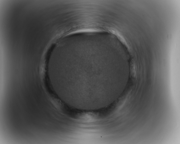 X0000088920736200706081359