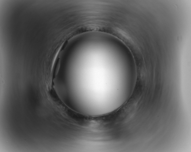 X0000088920737200706081359