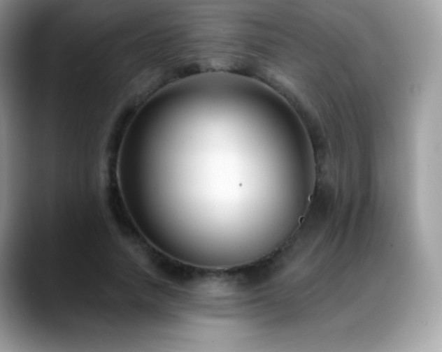 X0000088920738200706081359
