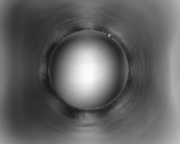 X0000088920739200706081359