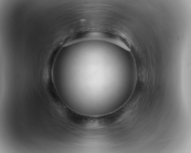 X0000088920740200706081359