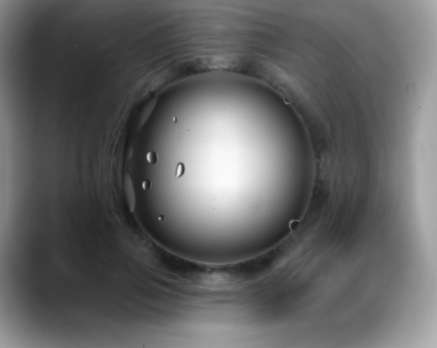 X0000088920741200706081359