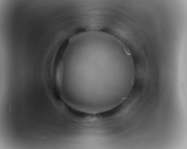 X0000088920742200706081359