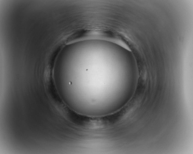 X0000088920744200706081359