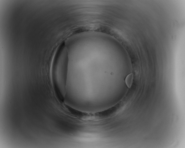 X0000088920745200706081359