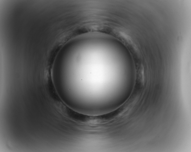 X0000088920746200706081359