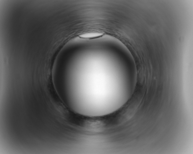 X0000088920747200706081359