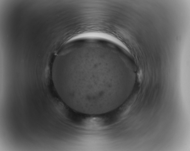 X0000088920748200706081359