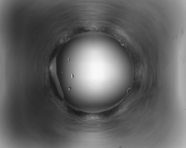 X0000088920749200706081359