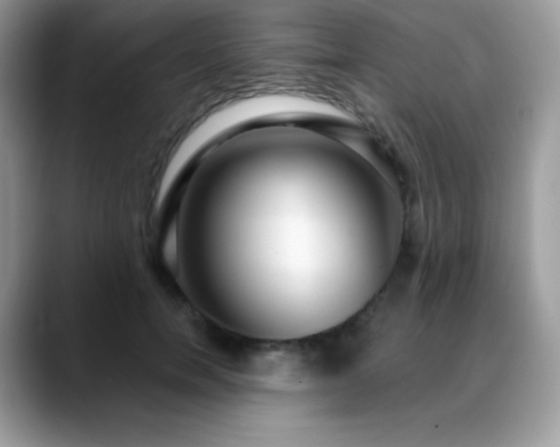 X0000088920750200706081359