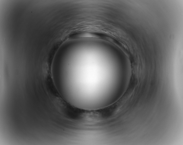 X0000088920752200706081359