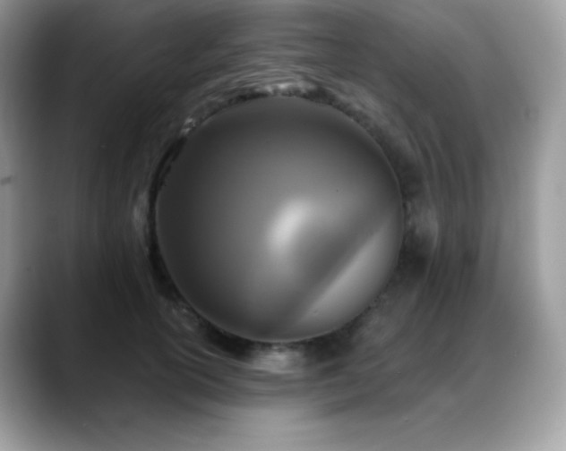 X0000088920754200706081359