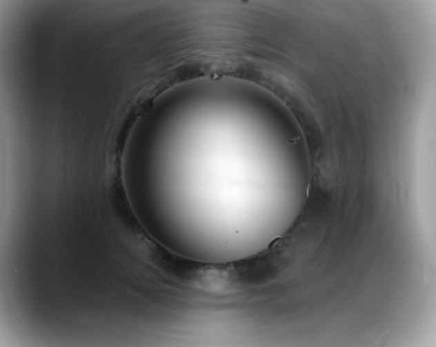 X0000088920756200706081359